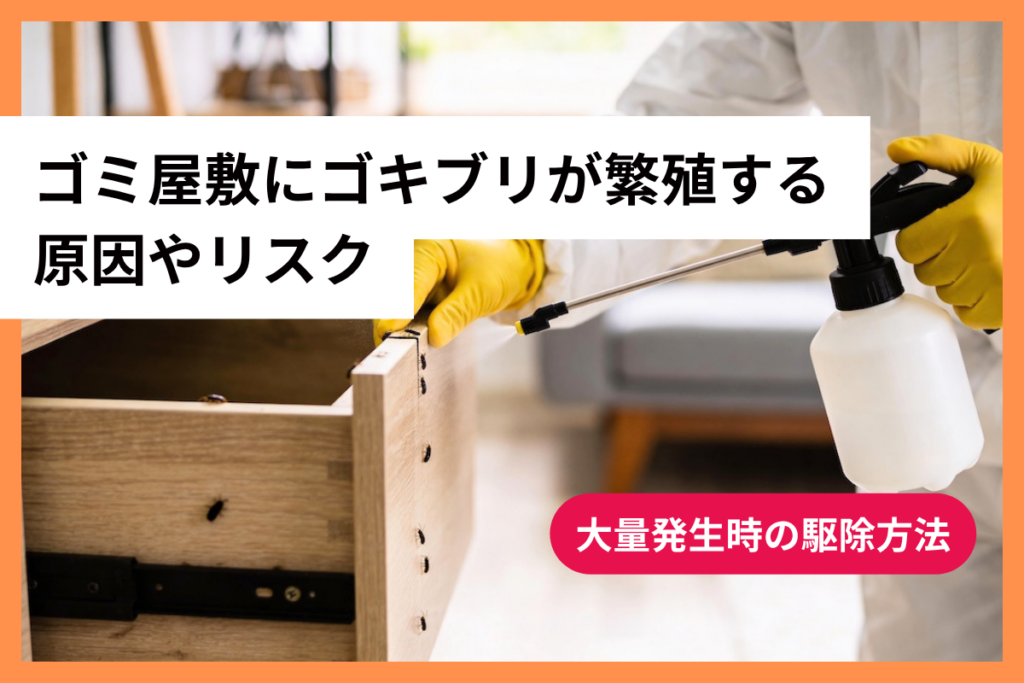 ゴミ屋敷にゴキブリが繁殖する原因やリスク・大量発生時の駆除方法